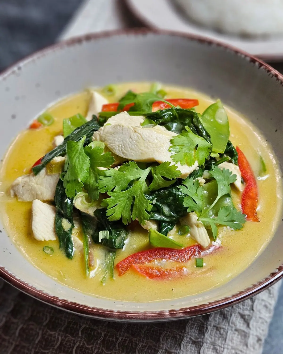 Cremiges Hähnchen-Spinat-Curry mit Kokosmilch in einer Schüssel angerichtet und mit Reis serviert
