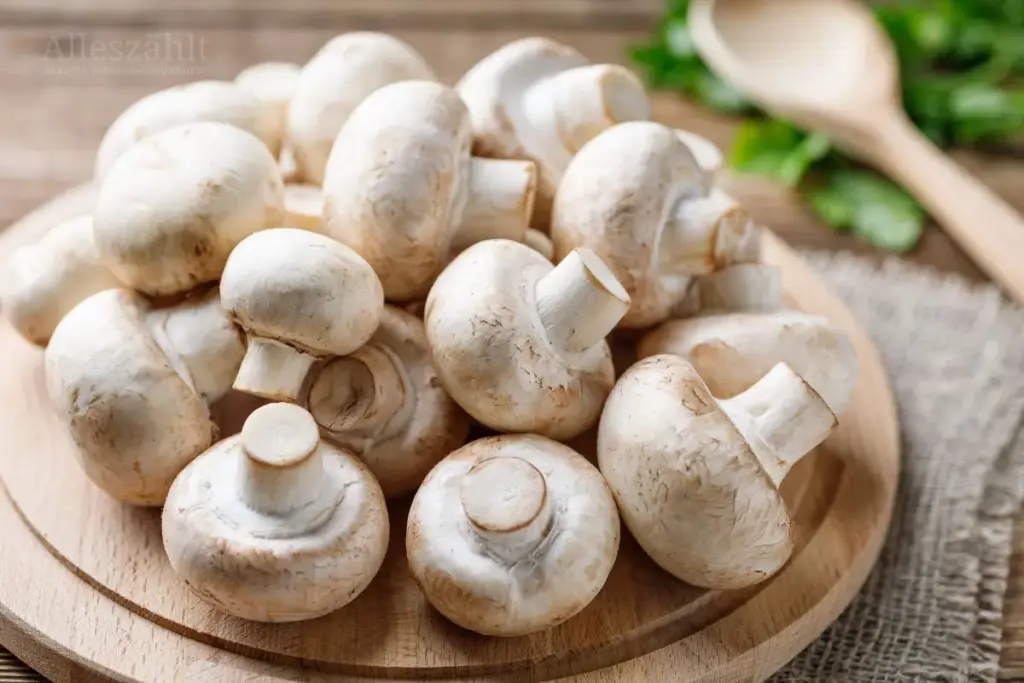 Champignons